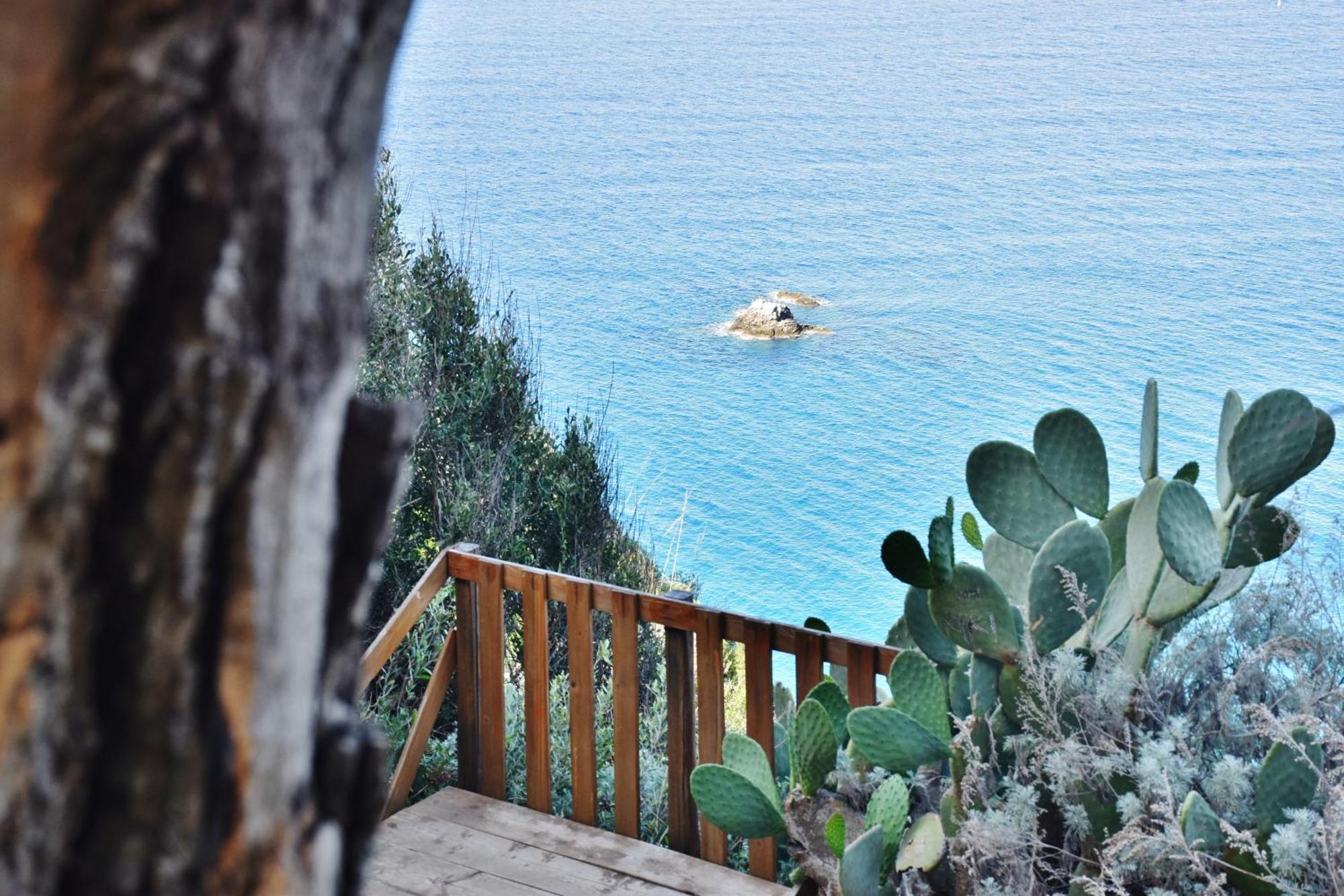Calabria Beach Villa'S Капо Ватикано Екстериор снимка
